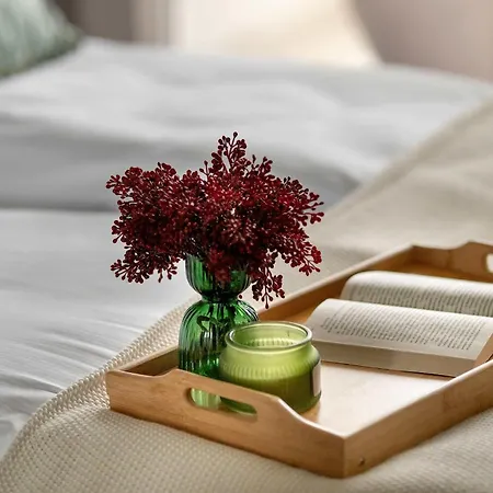 Comfortable With Parking In By Renters