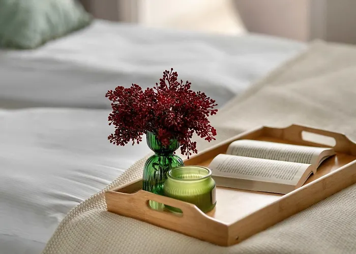 Comfortable With Parking In By Renters